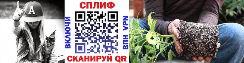 ГЕРОИН Шахты
