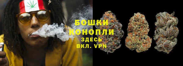 индика Абдулино