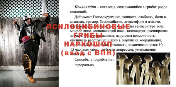 мяу мяу мука Абинск