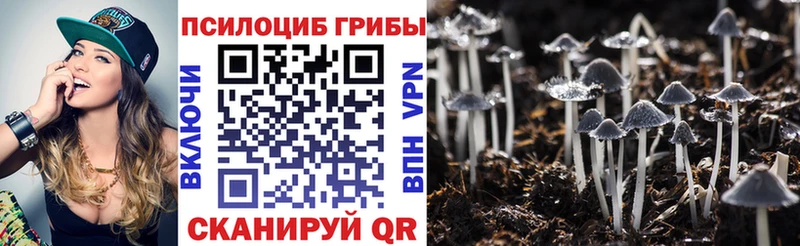 Галлюциногенные грибы мицелий  наркота  Шахты 